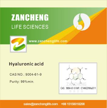 Hyaluronic Acid