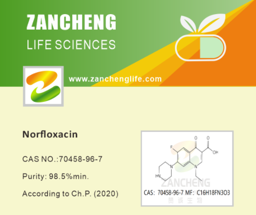 Treatment and Side Effect of Norfloxacin