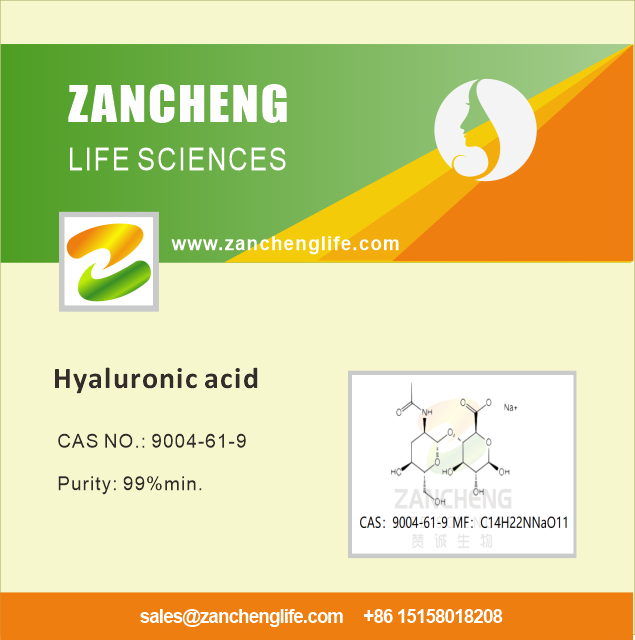 Hyaluronic Acid