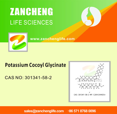 Potassium Cocoyl Glycinate