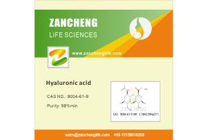 Hyaluronic Acid Market and Applications