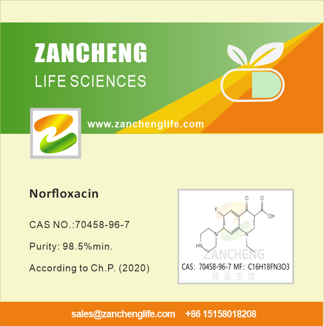 What Are Norfloxacin Used for?