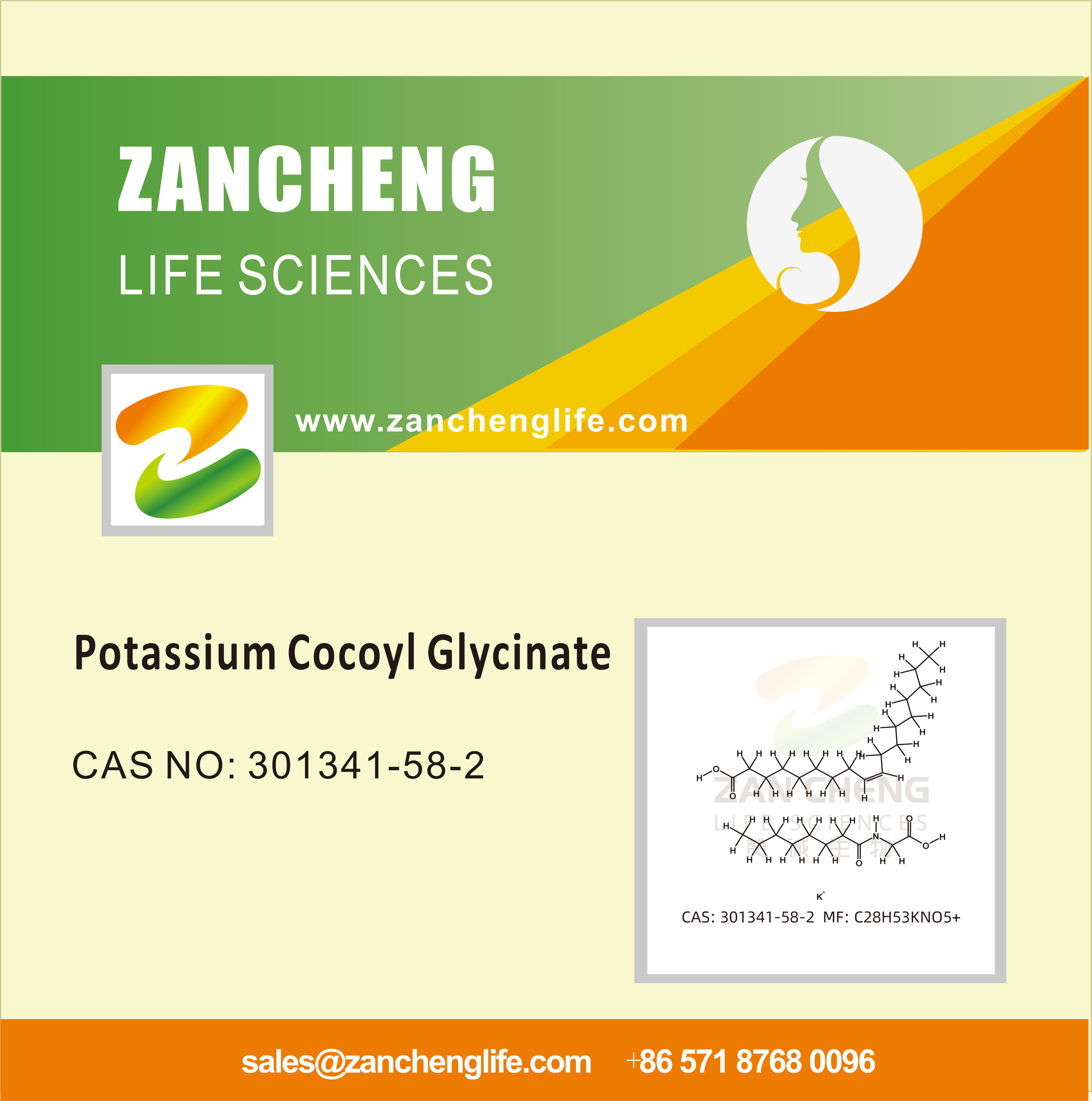 Potassium Cocoyl Glycinate